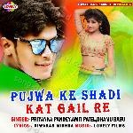 Pujwa Ke Shadi Kat Gail Re - Amit Patel Song Download